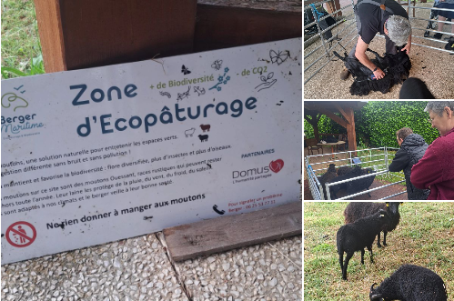 Mois de l'environnement vivractif